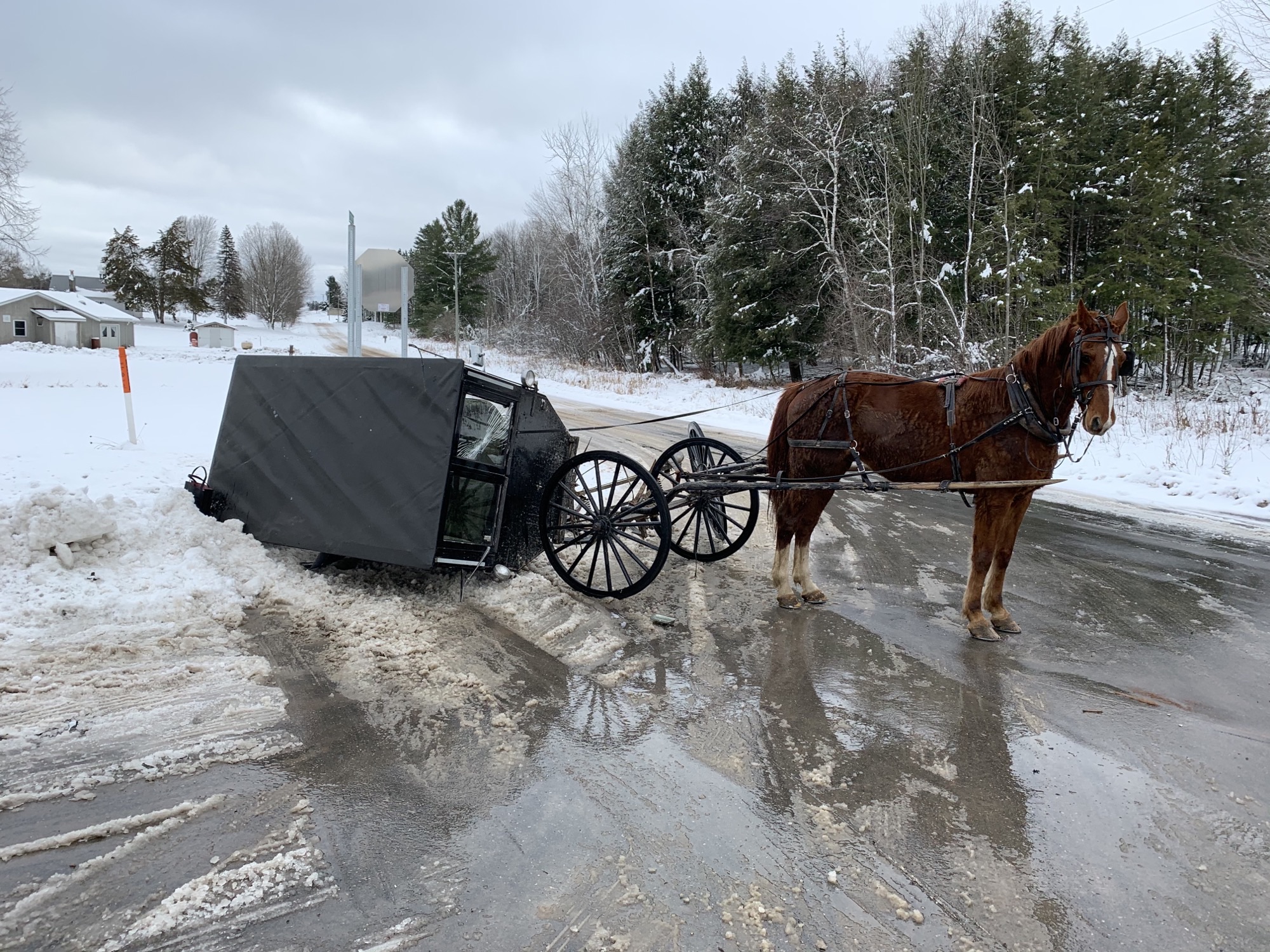 State Police investigate traffic crash involving horse and buggy – EUP News