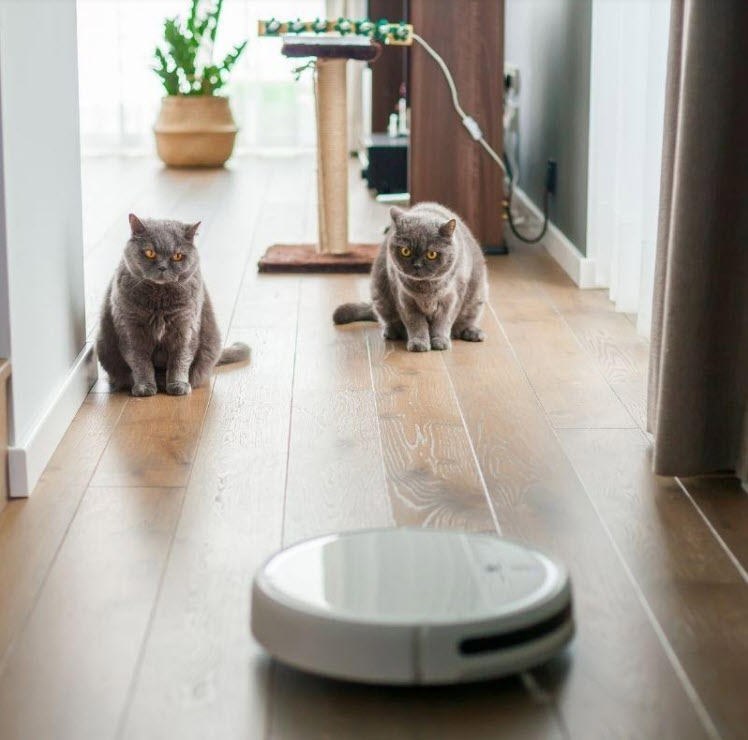 How To Reduce Pet Dander in Your House EUP News